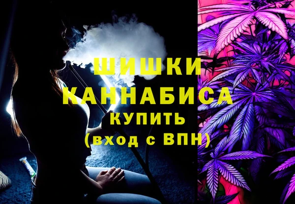 МДПВ Осинники