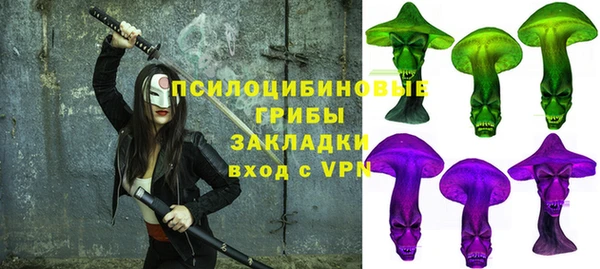 соль ск Осташков
