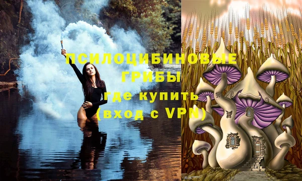 гашиш Белокуриха