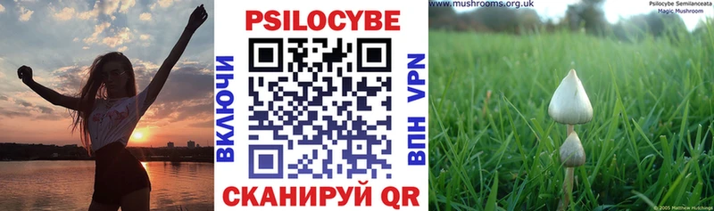 Галлюциногенные грибы Psilocybine cubensis  сколько стоит  Тырныауз 
